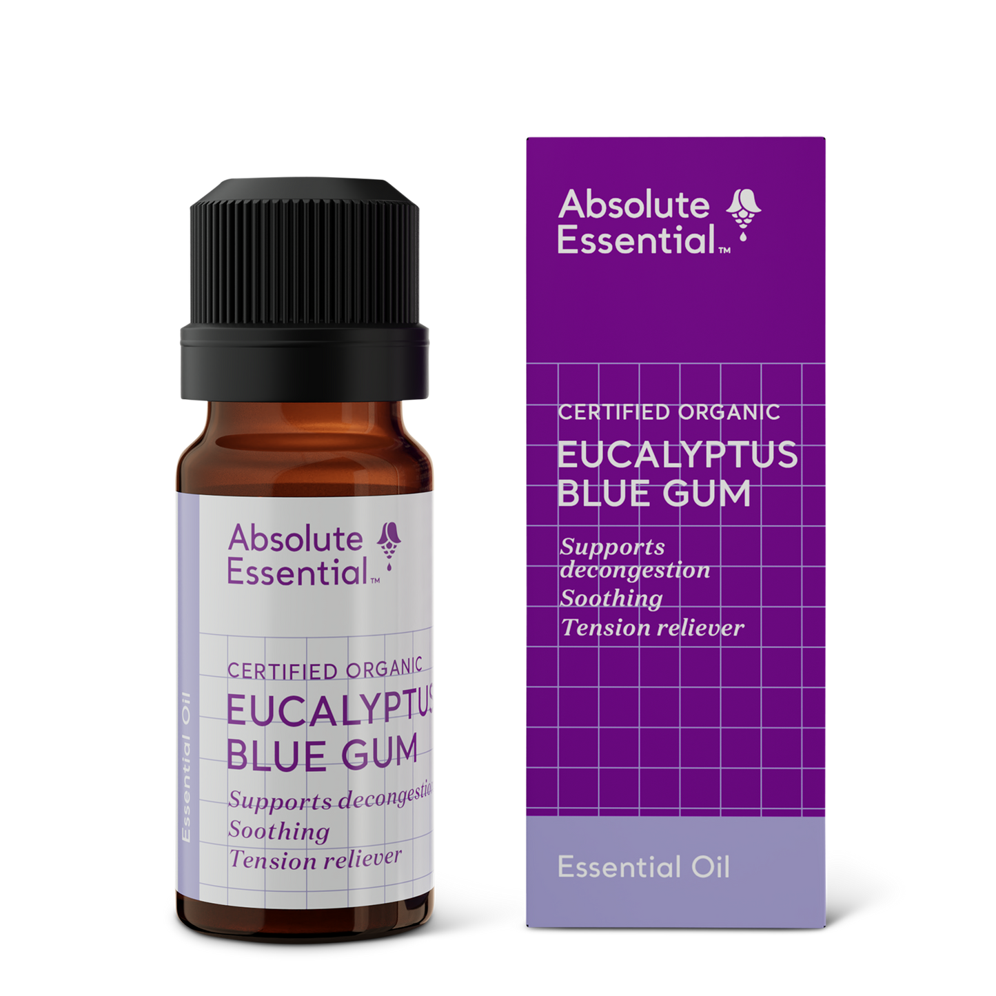 Eucalyptus Blue Gum Essential Oil