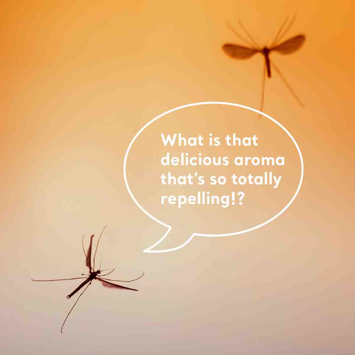 Bug Repellent