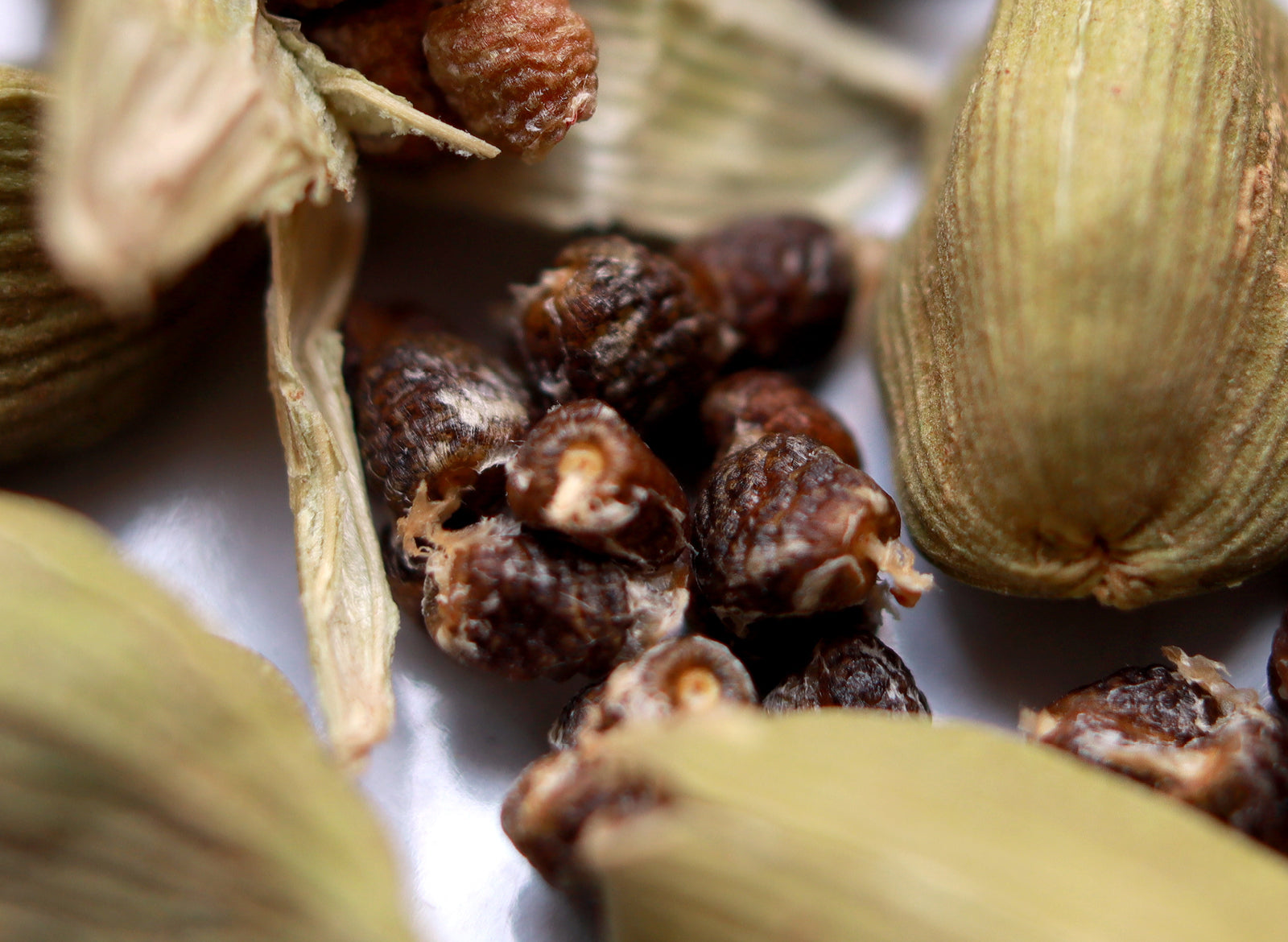 Cardamon Essential Oil