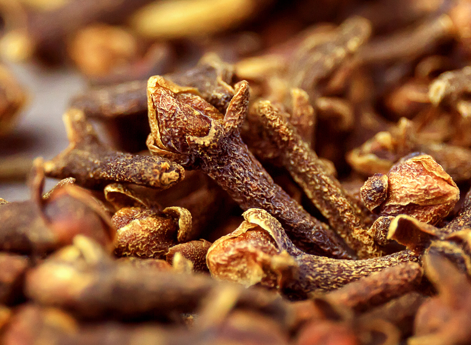 Clove Bud Essential Oil