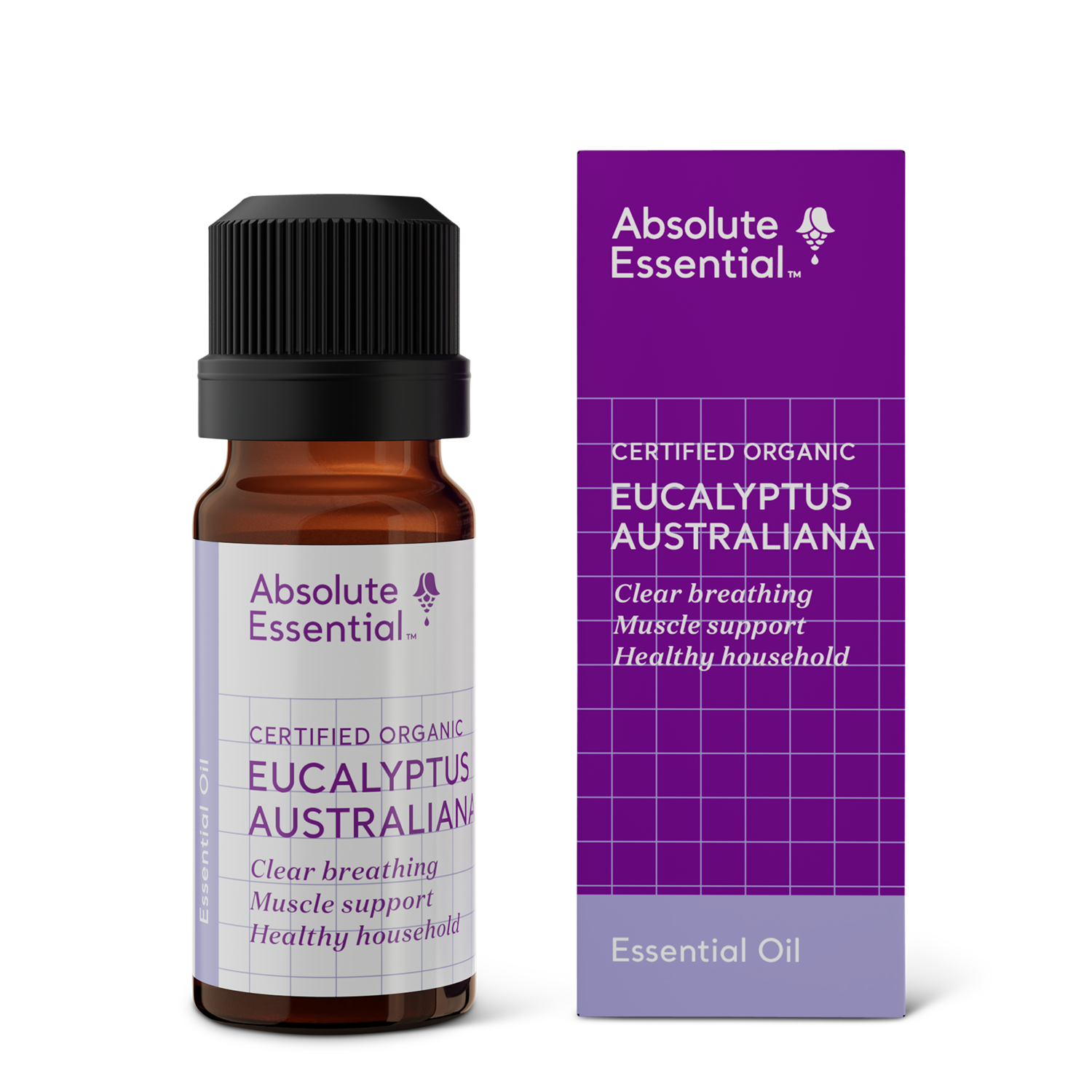 Eucalyptus Australiana Essential Oil