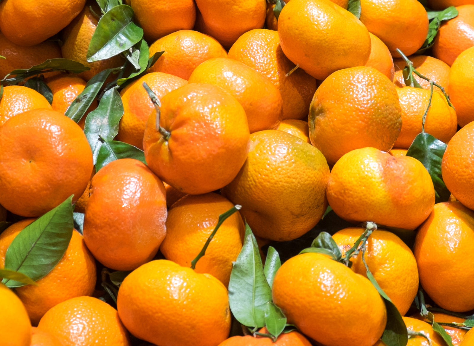 Mandarin Essential Oil