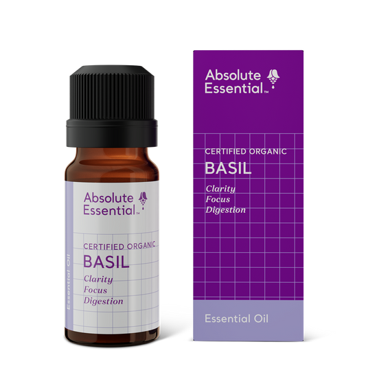 Basil Essential Oil