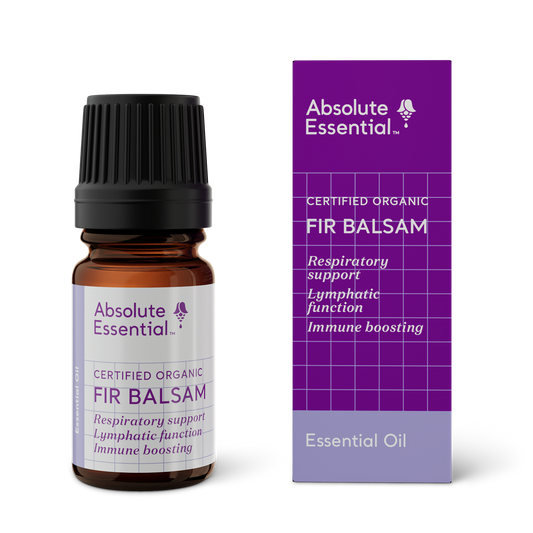 Fir Balsam Essential Oil 