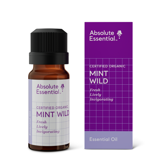 Mint Wild Essential Oil